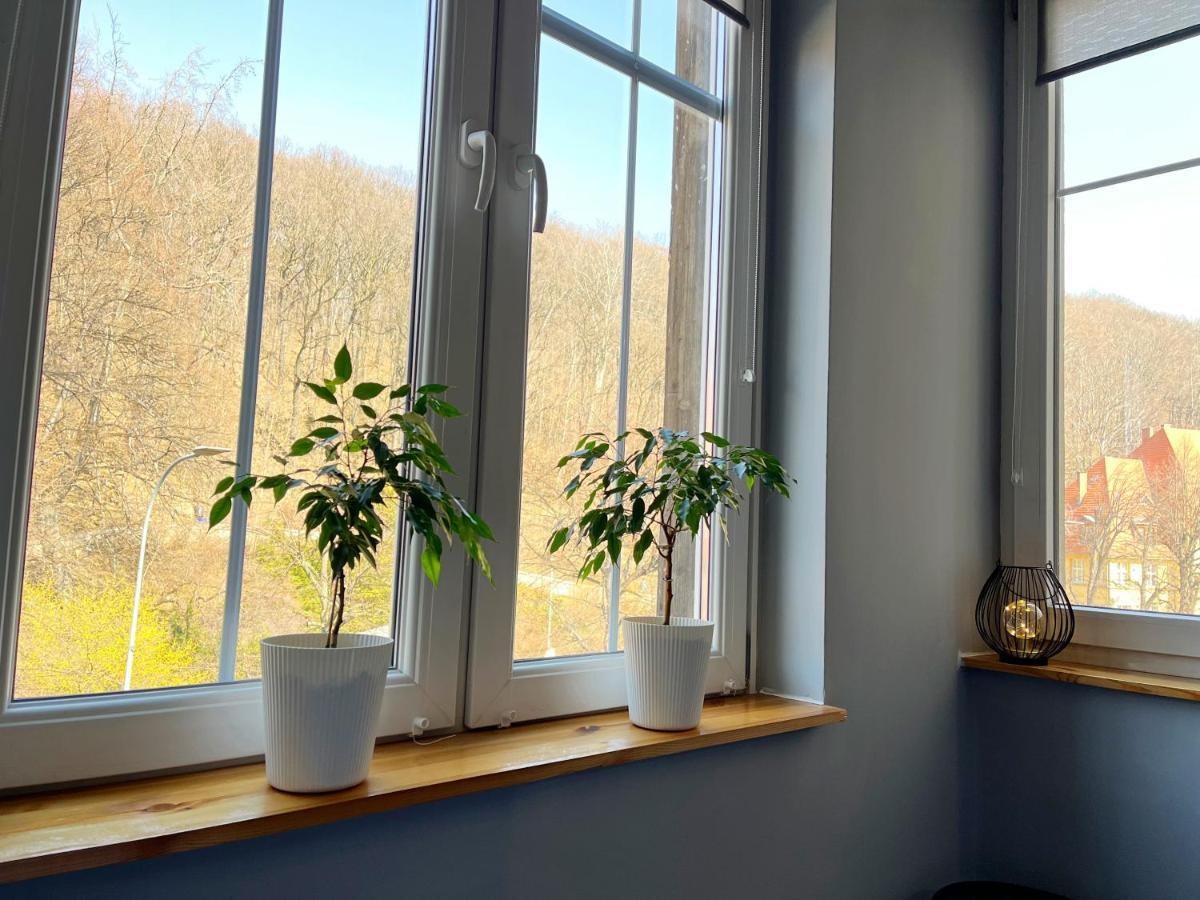Łóżko piętrowe w koedukacyjnym pokoju wieloosobowym