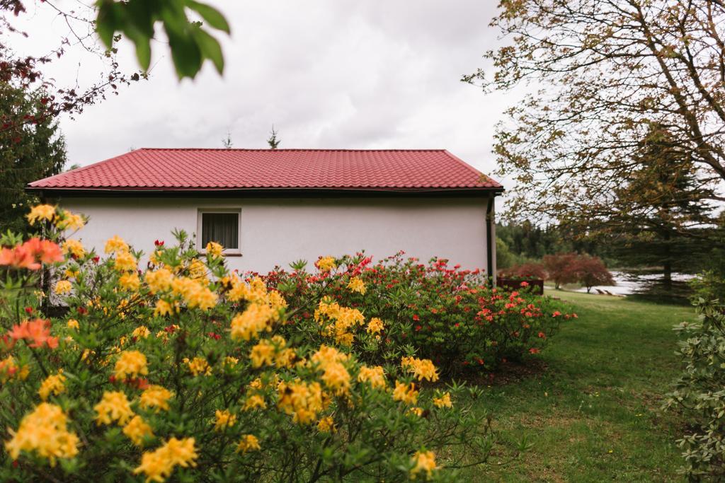 Apartament typu Junior Suite z widokiem na ogród