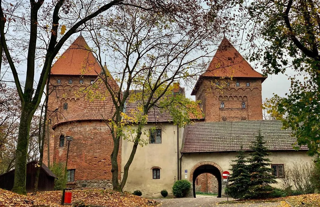Zamek Nidzica-1