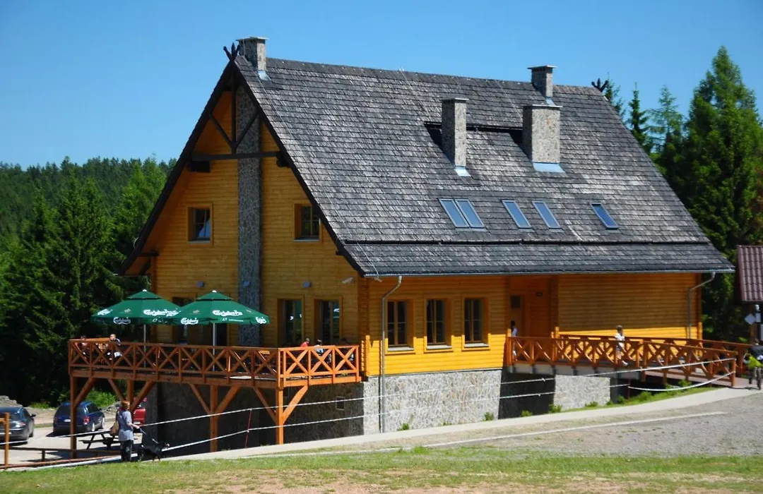 Góra Dzikowiec-1