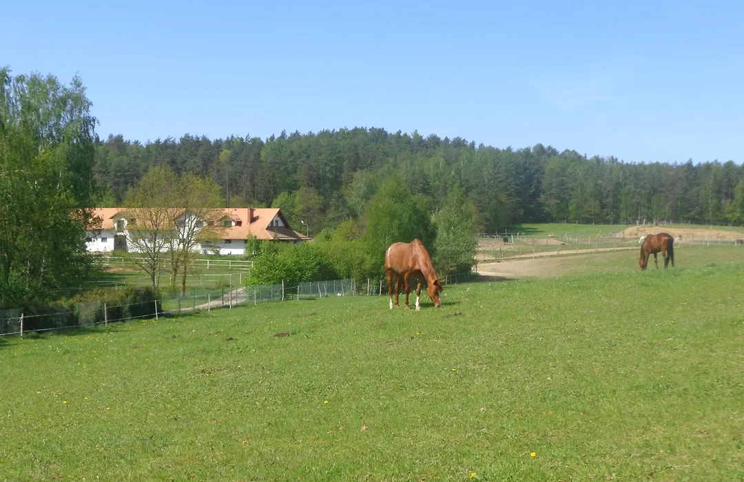 Sakowcówka - Agroturystyka , stajnia-1