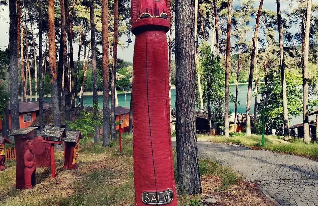 Gród Piasta-1