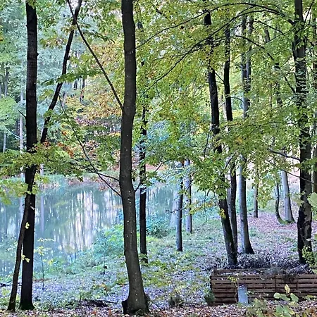 Gospodarstwo Agroturystyczne LOBELIA-3