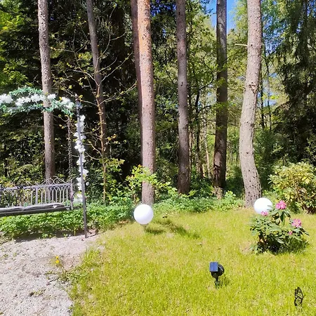 Zacisze Leśne nad Pilicą-2