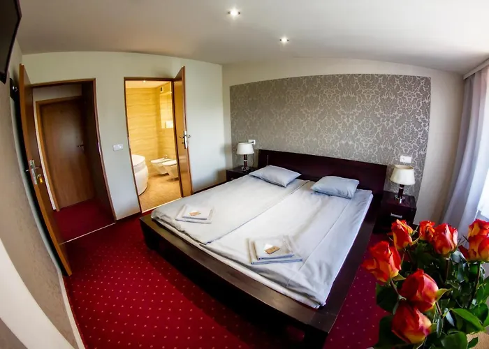 Bed and Breakfast Kamionki Sosnowiec